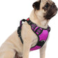 rabbitgoo Dog Harness Small Sized, No Pull Dog Vest with 3 Buckles, Adjustable Soft Padded Pet Harness with Easy Control Handle and Reflective Strips, Purple, S