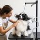 L&W BROS. 2-in-1 Pet Hair Dryer with Clamp Stand – Wearable & Hands-Free Dog Grooming Dryer, 950W Low Noise Blower with 5 Heat & 3 Speed Settings, for Small to Medium Pets (gray)