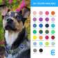 Blueberry Pet Essentials Dog Collar | Adjustable Girl Dog Collars for Medium Dogs | Neon Green Puppy Collar | Classic Nylon Dog Collars for Small Dogs | Pet Accessories