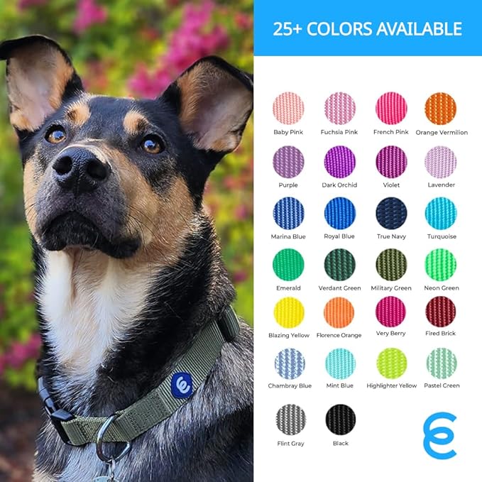 Blueberry Pet X-Small Dog Collar | Girl Dog Collars | Female Dog Collar XS | Quick Release Dog Collar | Baby Pink Nylon Dog Collar for Girl, Collar for Small Dogs