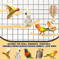 3Pcs Bird Toys Perch Stand for Cage, Natural Parrot Toys, Small Chewing Sticks Toys Bird Cage Accessories for Conures Parakeets Cockatoo African Grey Parrots (3PCS)