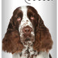 The Blissful Dog Springer Spaniel Unscented Nose Butter, 0.50-Ounce