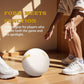 Personalized Indoor Volleyball – Official Size 5 Composite Leather Volleyball for Adults & Teens – Custom Name Volleyball for Gifts, Training, Games