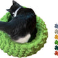 Cat Nest Bed – Premium Handwoven Washable Extra Soft Round Cave House for Indoor Kitten & Kitty, Small & Large (LGreen,Large)