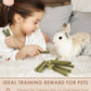 Bissap 22PCS Rabbit Chew Sticks, Mixed Natural Timothy Hay Flower Rose Dahlberg Daisy and Forget-me-not Chew Toys Treats for Bunny Chinchilla Guinea Pig Hamster and Other Small Pets Molar Snacks