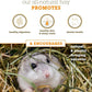 Orchard Grass Hay for Guinea Pigs, Rabbits, Hamsters & Small Pets by Bunny Honey - Fresh, High-Fiber, Supports Digestive Health & Dental Care, Non-Blended & Fresh Cut