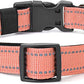 Reflective Dog Collar Padded with Soft Neoprene Breathable Quick Release Basic Dog Collars for Puppy Small Dogs Coral