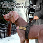 Forestpaw No Pull Dog Harness - Soft Flannel Padded Tactical Dog Vest Harness with Quick Release Buckle, Adjustable Reflective Pet Harness for Medium Dogs Walking Training,Black M