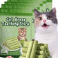 Primeco Cat Grass Teething Stick, Natural Grass Molar Rod Made of Chicken & Cat Grass, 6 PCS Per Bag for Cat Indoor Teeth Cleaning, Hairball Removal, Dental Care, Increase Appetite (6 pcs)