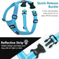 Dog Seat Belt Harness for Car, Dog Car Harness Adjustable Mesh Breathable & Dogs Seatbelt Safety Tether with Elastic Bungee for Small Medium Large Pets(Blue, XL)