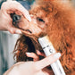 Casfuy Cordless Dog Paw Trimmer - Low Noise Small Dog Clippers with Double Blades USB Rechargeable Grooming Clipper for Dogs Cats and Small Pets for Trimming Hair Around Paws, Eyes, Ears, Face, Rump