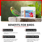 Morning Bird Moringa Leaf Powder 6 oz – Natural Food Supplement for Birds, Rich in Vitamins & Minerals, Boosts Immune System & Energy, Supports Healthy Feathers, Digestion, and Overall Avian Wellness