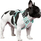 Timos Dog Harness, 3 Snap Buckles No-Pull Soft Padded Dog Vest with 2 Metal Leash Clips,Adjustable Reflective No Choke Pet Harness with Easy Control Handle for Small Dogs,Cyan,S