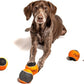 Midlee Orange/Black Dog Halloween Tennis Balls- Set of 6