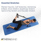 THERABAND Stretch Strap with Loops to Increase Flexibility, Dynamic Stretching Tool for Athletes Including Dancers, Cheerleaders, Gymnasts, Runners, Pilates and Yoga Elastic Stretch Out Band