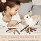 Bissap 76PCS Rabbit Chew Sticks, Mixed Natural Timothy Hay Flower Rose Dahlberg Daisy and Forget-me-not Chew Toys Treats for Bunny Chinchilla Guinea Pig Hamster and Other Small Pets Molar Snacks