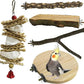 kathson 5PCS Wood Bird Perch Wooden Parrot Stand Toy Parakeet Standing Platform Chew Toys Natural Cuttlebone Paw Grinding Stick Cockatiels Cage Accessories Exercise Toy for Conures Budgies Lovebirds
