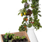 Farmstand Starter Kit + 36 Seedling Credits | Large Hydroponic Growing System Kit | Self-Watering Outdoor Vertical Garden Planter Tower | 6ft 1in | Made in USA