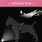 Didog No Pull Dog Harness with Soft Mesh Padded,Reflective & Quick Fit Light Weight Dog Strap Vest Harness,Easy for Walking Training (L:Chest 26-32", Pink)