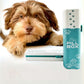 Pet Pill Box Organizer, 7-Day Medicine Container with Paw Print Design, White and Aqua. Pill Container for Vitamin Management, Daily Pill Holder for Dogs and Cats