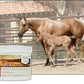 UltraCruz® Equine Ichthammol, 32 oz