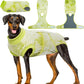 Kuoser Dog Surgery Recovery Suit, Anti Licking Pet Surgical Suit for Dogs Male Neuter, Female Dog Surgery Suit for Spay Subsititute E-Collar Cone, Dogs Body Suits After Surgery Green Tie Dye 2XL