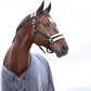 HORZE Howard Soft Fleece Padded Adjustable Polyester Horse Halter - Black - Pony