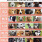 Dog Muzzle, Breathable Basket Muzzles for Small, Medium, Large and X-Large Dogs, Prevent Barking, Biting, Chewing Dog Mouth Cover Gray