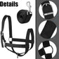 Hillban Cow Halter Cattle Halters Adjustable Calf Halter with Leading Rope for Miniature Horse Donkey Goat Foal Nylon Cattle Training Supplies
