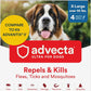 Ultra Flea And Tick Prevention For Dogs - Dog and Puppy Treatment and Control - Mosquito Repellent - XL, Fast Acting Waterproof Topical Drops, 4 Month Supply