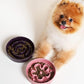 LE TAUCI Ceramic Slow Feeder Dog Bowls Small Breed, 0.6 Cups Dog Food Dish for Fast Eaters, Puzzle Bowl for Small Dogs and Cats,Purple