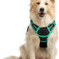 rabbitgoo Dog Harness No Pull with 2 Leash Clips, Adjustable Soft Padded, Reflective Oxford No Choke Pet Vest with Easy Control Handle for Medium Sized Dogs, Black & Turquoise, M