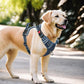 Timos Dog Harness Large Sized, No Pull Pet Harness with Neck Lockable Snap,No Choke Front Clip Dog Reflective Vest,Adjustable Metal Rings 3 Buckles,Easy Control Handle for Large Dogs Royal Blue L