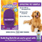 Bodhi Dog Shampoo Brush - Pet Grooming & Bath Supplies for Dogs and Cats - Bath Brush for Long & Short Hair - Premium Scrubber for Shower, Bathing & Massage (Two Pack, Purple)