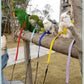 Pet Parrot Bird Harness Leash Adjustable Bird Flying Harness Traction Rope with Cute Wing for Parrots Pigeons Budgerigar Lovebird Cockatiel Mynah Outdoor Training Toy (S, Purple)
