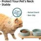 Ceramic Elevated Cat Food and Water Bowl, Kitty Bowl, Raised Cat Dish, Pet Feeder (5.1 in, 2 x Light Green + Stand)