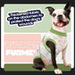 FUAMEY Dog Recovery Suit Male,Dogs Surgery Neuter Suits Puppy Spay Shirts for Female Protect Dog's Skin Anti Licking Abdominal Wounds Doggie Onesie Pet Bodysuit Alternative to Cone Rabbit Flower XL