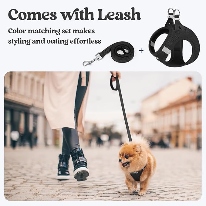 rabbitgoo Dog Harness Small Sized and Leash Set, Step in Soft Light Puppy Vest, Breathable Mesh Pet Harness, Reflective for Safe Easy Walking, Black M