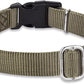 Hyhug Pets Classic Regular Heavy Duty Nylon Dog Basic Collar for Medium Dogs Daily Use Walking Jogging. (Medium, Military Green)