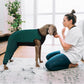 Kuoser Dog Recovery Suit, Anti Licking Dogs Rear Leg Sleeve, Abdominal Dog Surgical Suit with Pants Cover Protect Wounds, Dogs Elbow Protector Soft Pet Surgery Onesie Cone Alternative, Green 3XL