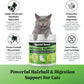 Hairball Support for Cats - 10 Super Ingredients for Hairball Relief, Digestive Support & Healthy Skin - No Fillers - Psyllium, Pumpkin, Omega-3s & More - 240 Scoops