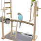 Bird Playground Parrot Playstand Bird Perch Stand Gym Natural Wood Play Stand with Swing Ladder Feeder Cups for Parakeets Cockatiels Lovebirds Conures Budgies
