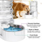 RIZZARI Automatic 7L Pet Waterer,Gravity Stainless Steel Water Dispenser, 100% BPA-Free, Large Capacity Water Feeder for Cats and Medium and Large-Sized Dogs (White,7L)
