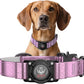 AirTag Dog Collar - Leather Dog Collar with Airtag Holder | IP68 Waterproof AirTag Holder with Metal Buckle, Comfortable GPS Dog Collars Tracker for Medium Large Dogs (Rose Gold, M)