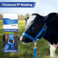 XUANNIAO Easily Adjustable Figure 8 Cow Halter, Double-Ply Premium Livestock Cattle Halters, Colorful Cow Utility Calf Halter with Leading Rope for Miniature Horse Donkey Goat Foal (Medium, Blue)