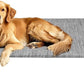 Veehoo Original Elevated Dog Bed - Outdoor Raised Cot for Large Dogs, One-Sided Raised Headboard Cooling Pet Bed, Sleeping Training Cot, Non-Slip & Breathable, XL, CWC2417A