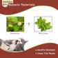 Cat Toys - Silvervine & Matatabi Catnip Toys, 10PCS Indoor Kitty Chew Sticks & Wand Toys for Bored Cats