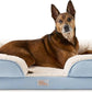 TOWN & COUNTRY EVERYDAY CuddleTown Comfy Solid Bolster Sofa Pet Bed, Supportive & Calming Egg Crate Foam, Non-Slip Bottom, Machine Washable Cover, Blue, Large 35"x25"x8"
