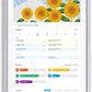 ApoloSign 15.6-inch Digital Calendar: Dual Mode Calendar with Google Play & Multi-calendar Sync, Electronic Planner & Chore Chart, Smart Touchscreen, Interactive Display for Family Schedules (Gray Wood, 15.6")