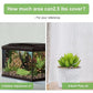 2.5 lbs Drainage Rocks for Potted Plants, 1/5 Inch Small Pebbles for Indoor Plants, Decorative Gravel for Vases, Bamboo, Succulent, Terrarium, Crafts, Cactus